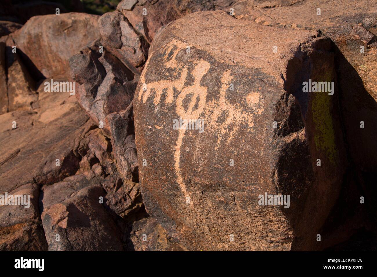 Petroglyphs along Hieroglyphic Trail, Superstition Wilderness, Tonto National Forest, Arizona. Stock Photo