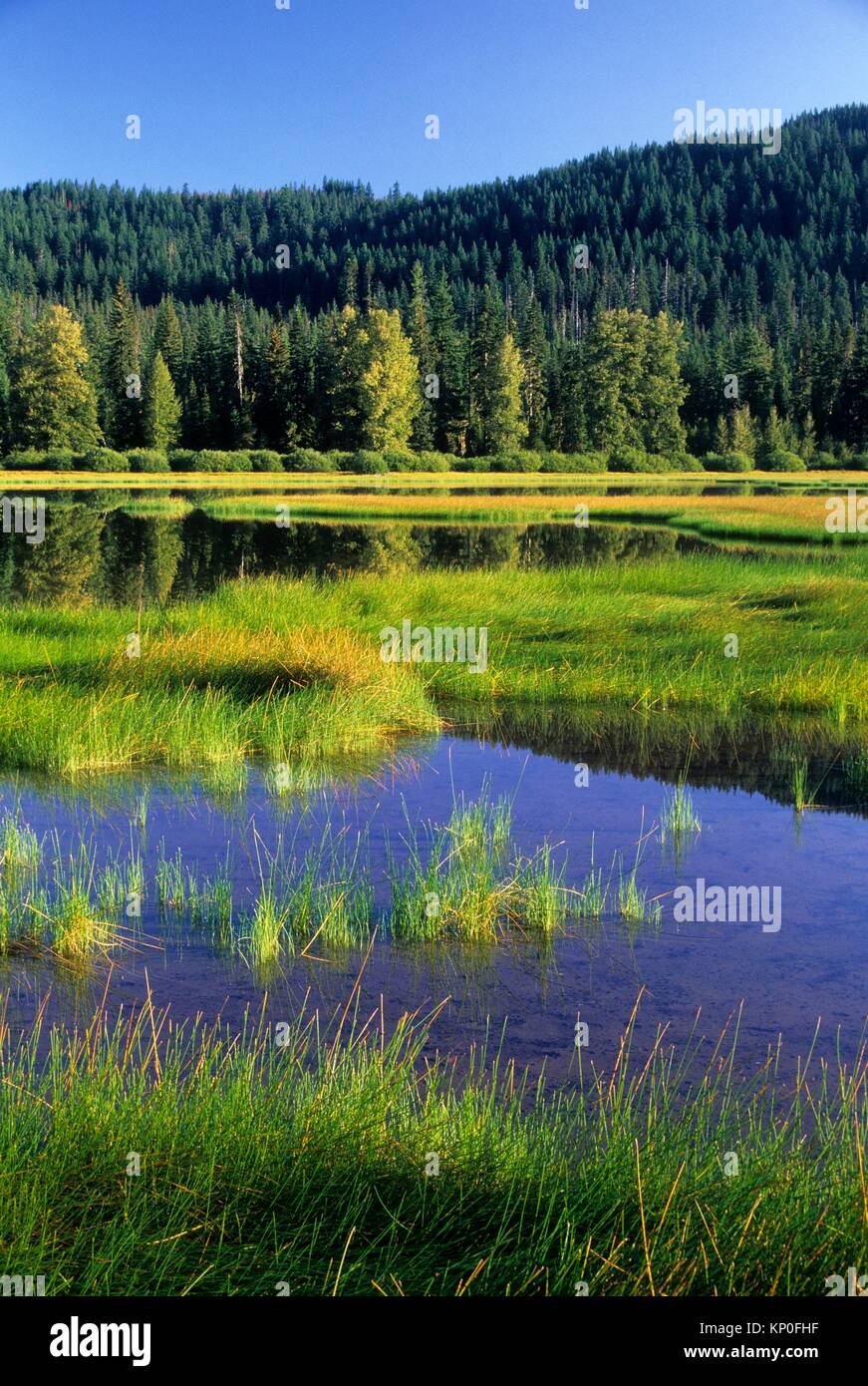 Lost lake hi-res stock photography and images - Alamy