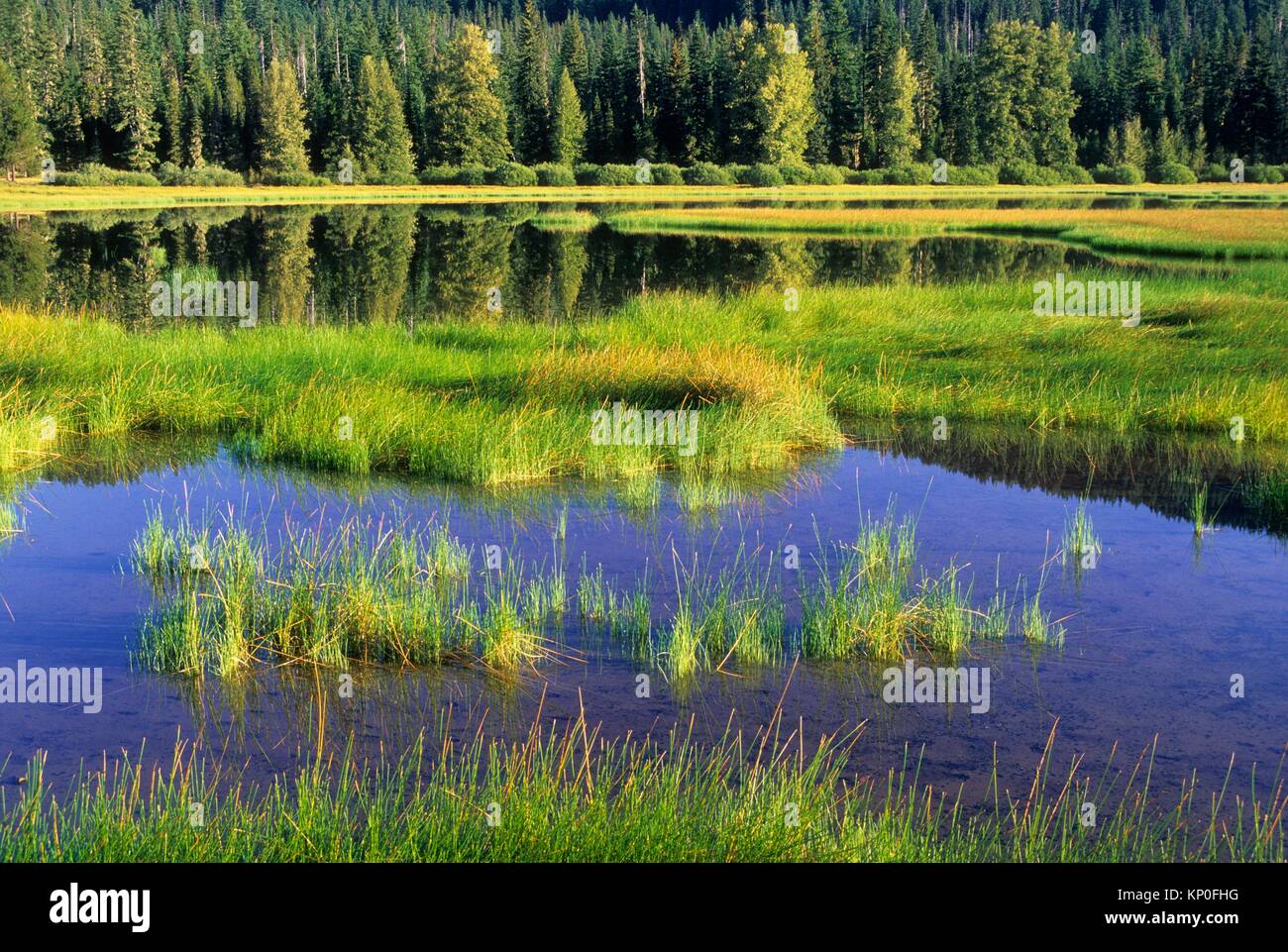 Santiam Mckenzie Pass Scenic Byway Hi-res Stock Photography And Images ...