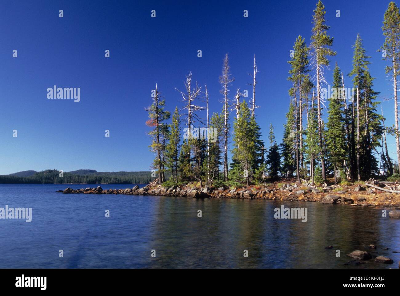 Waldo Lake, Waldo Lake State Scenic Waterway, Willamette National