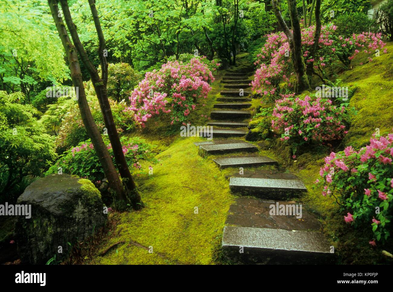 natural garden stairway, portland japanese garden, washington park