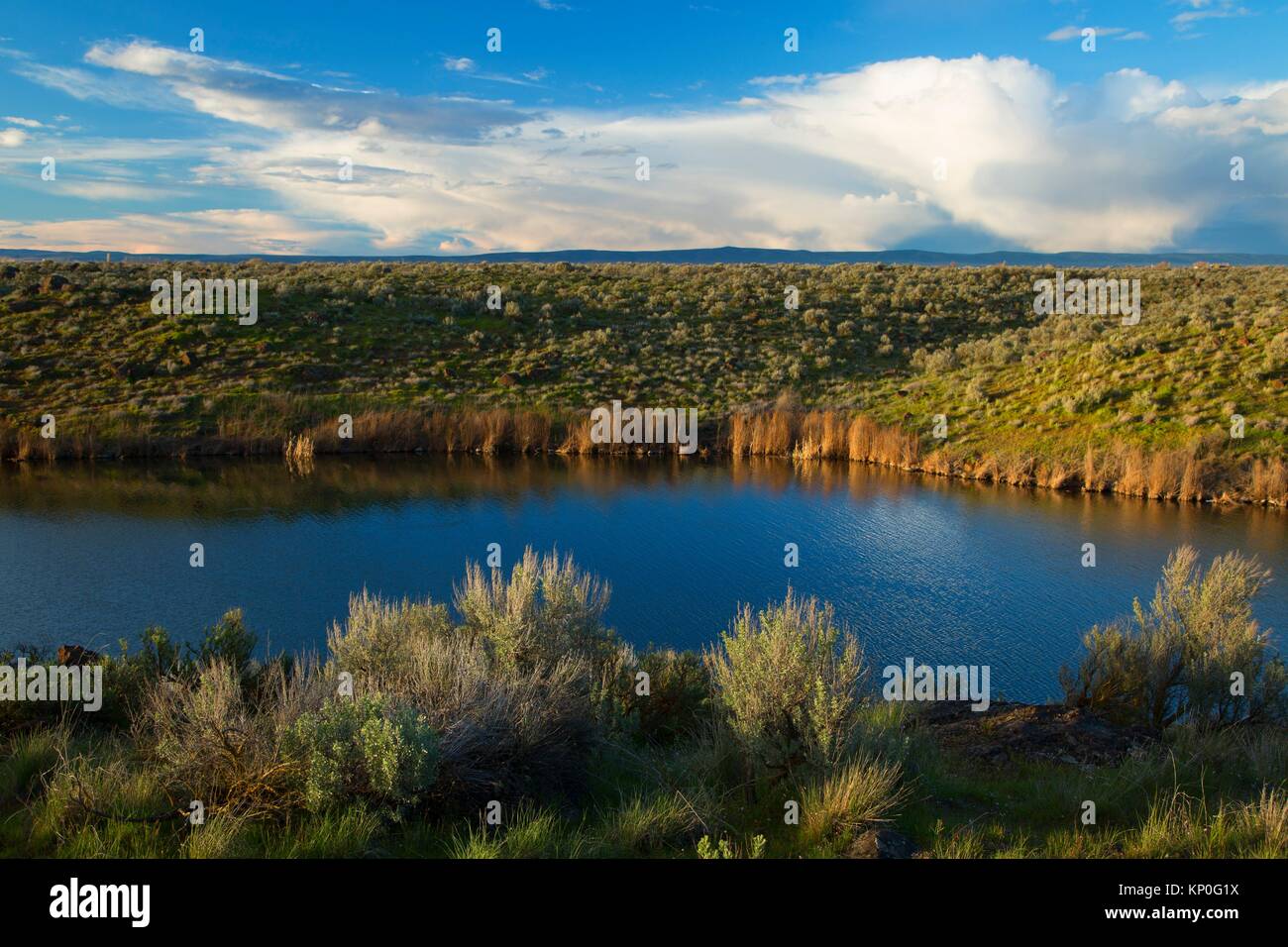 Burke lake hires stock photography and images Alamy