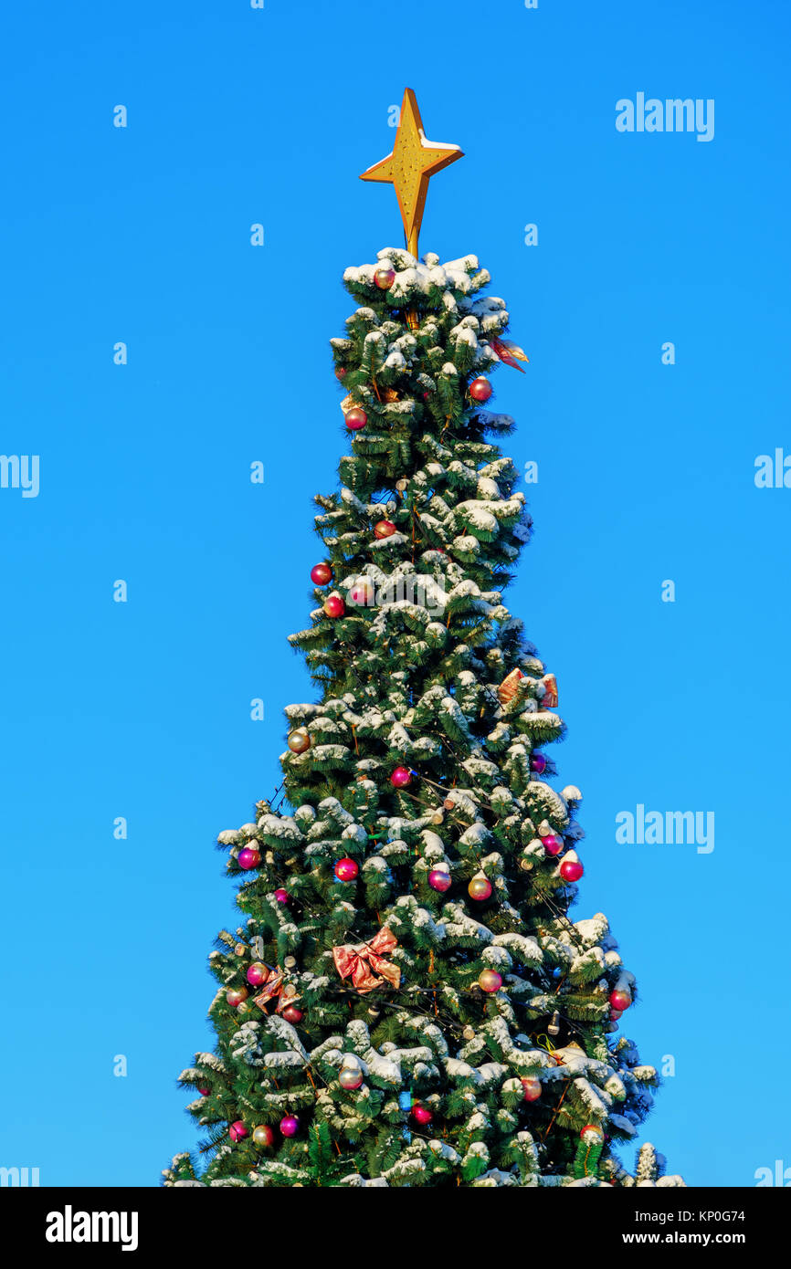 Snow covered Christmas tree on blue sky background Stock Photo Alamy