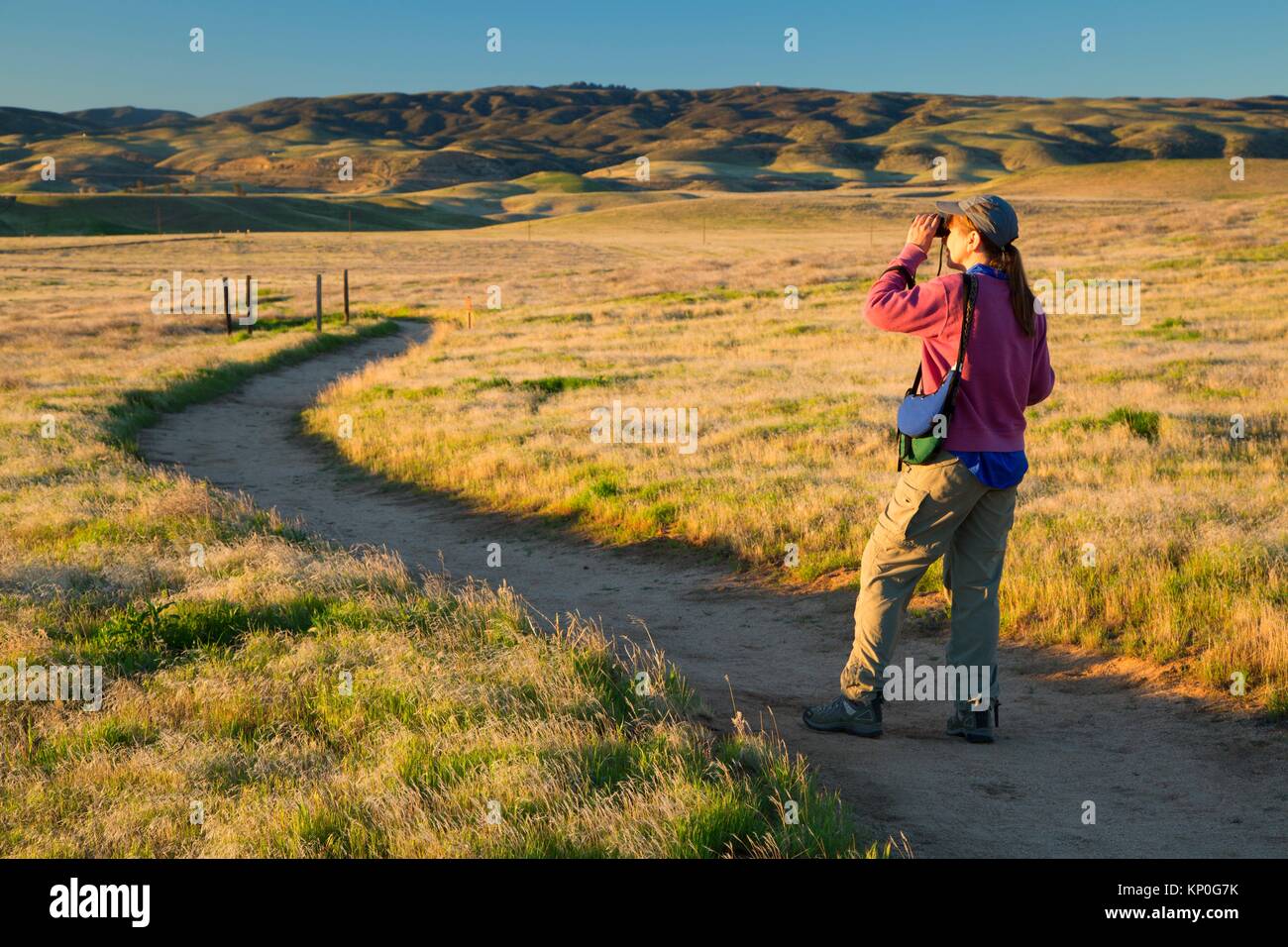 Birder on paved trail, Antelope Valley California Poppy State Reserve, California. Stock Photo
