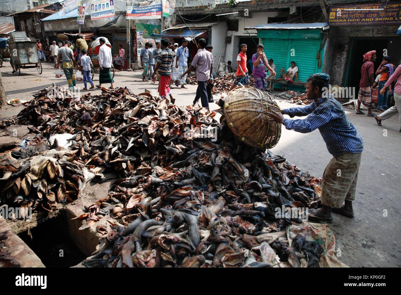 Bangladeshi leather trader collecting leather after the cattle sacrifice during the Eid-ul-Azha at Dhaka in Bangladesh. Leather  is a durable and Stock Photo