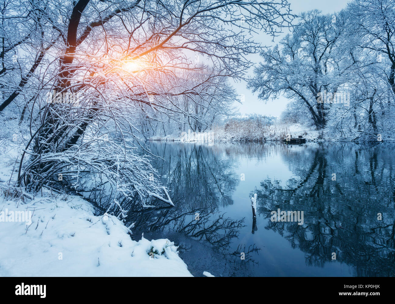 Winter forest on the river at sunset. Colorful landscape with snowy trees, frozen river with reflection in water. Seasonal. Snow covered trees, lake,  Stock Photo