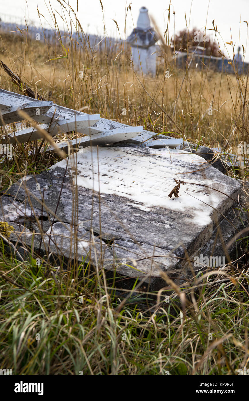 Marble headstone fallen in tall weeds of abandoned graveyard. Stock Photo