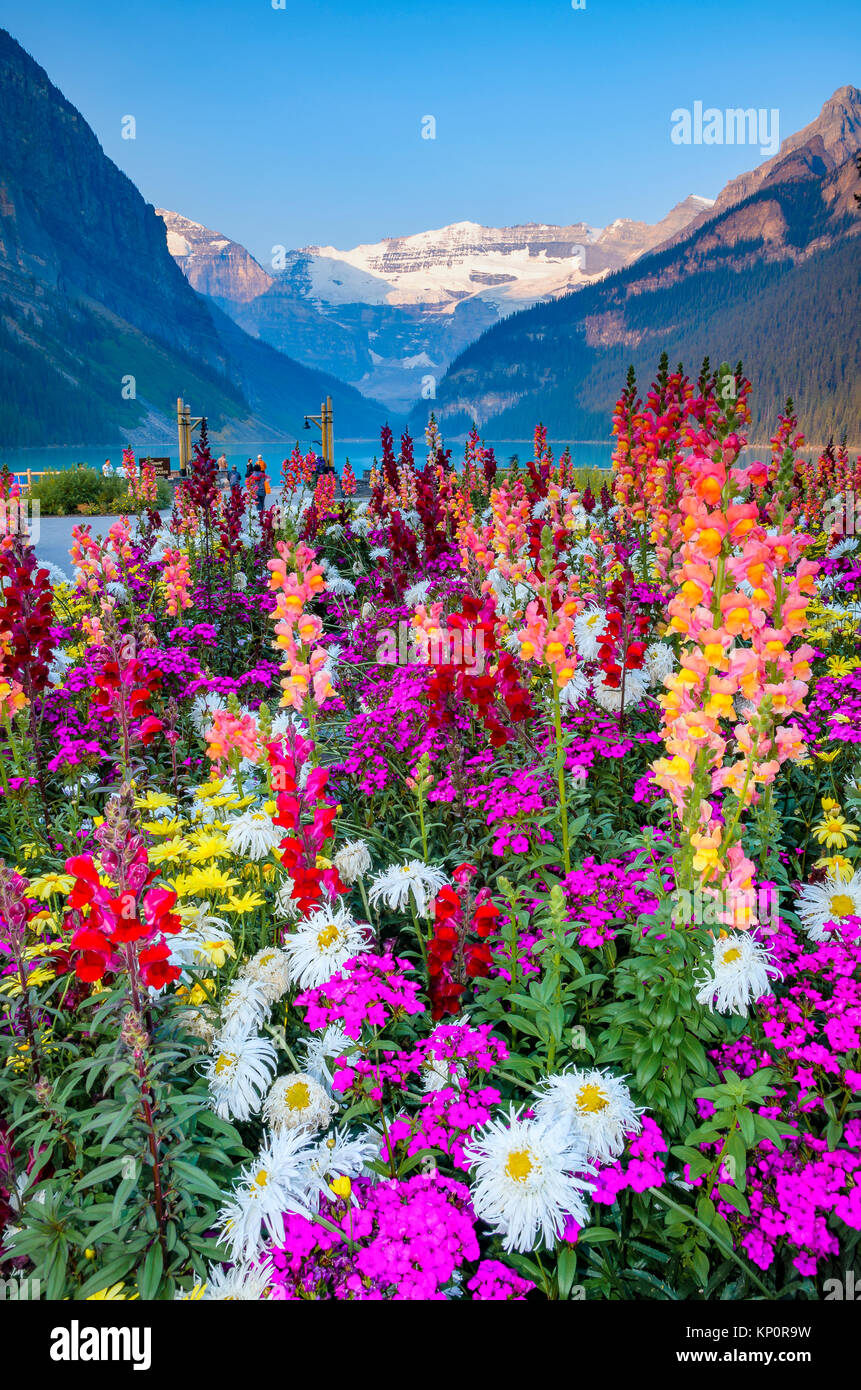 Flower display in front of Chateau Lake Louise, Banff National Park