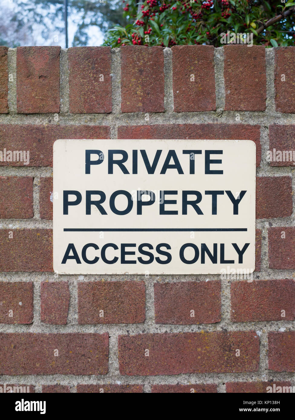 Accessed only