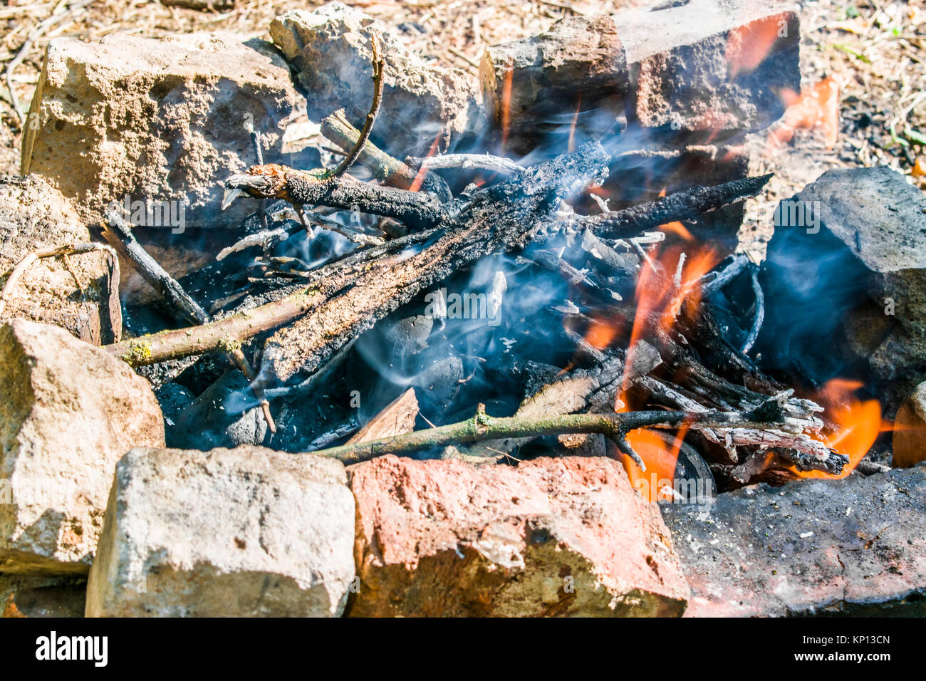 Bonfire, divorced in the forest. Hot summer day. Stock Photo