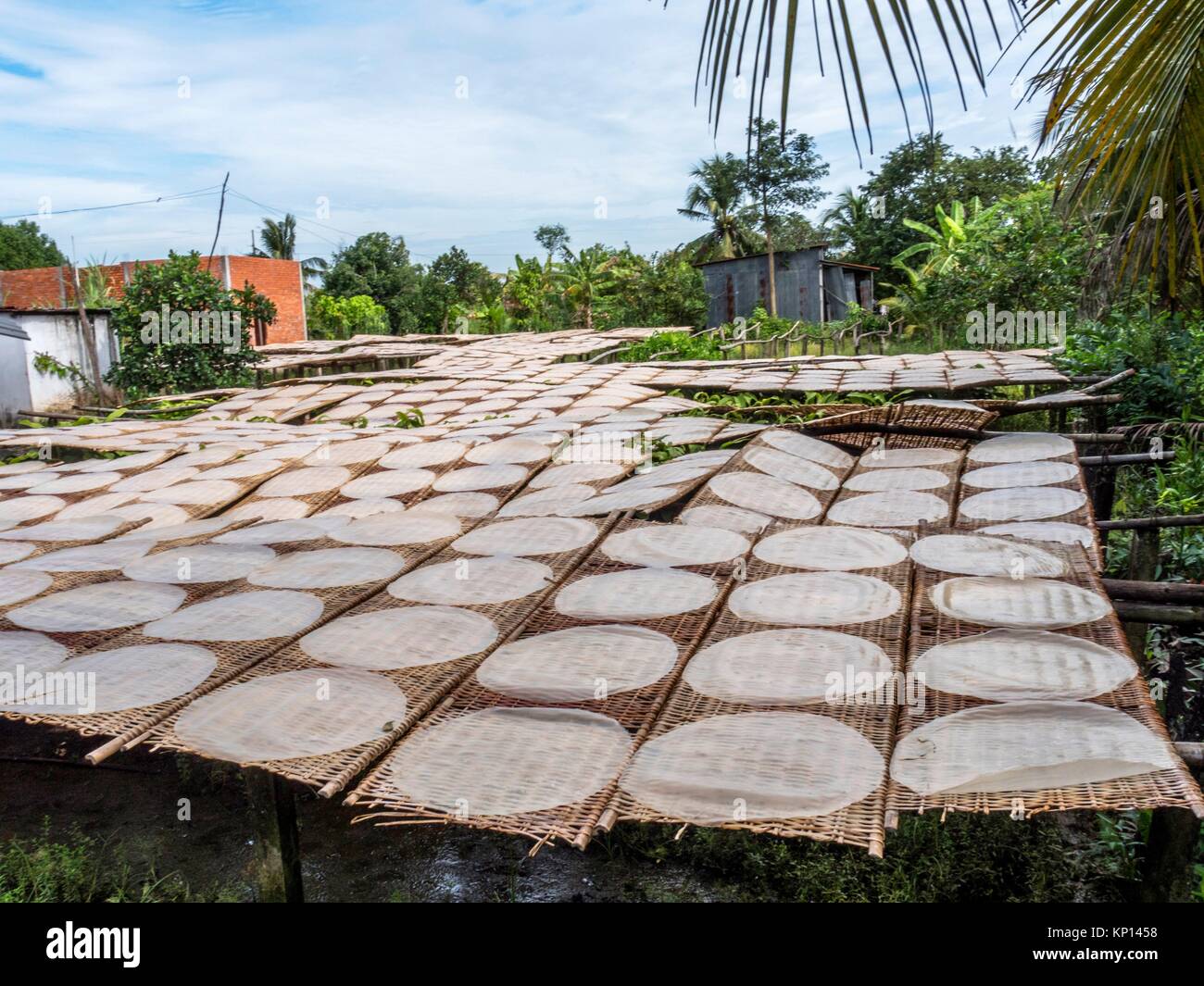 Drying rice paper, Can Tho Province, Vietnam Stock Photo