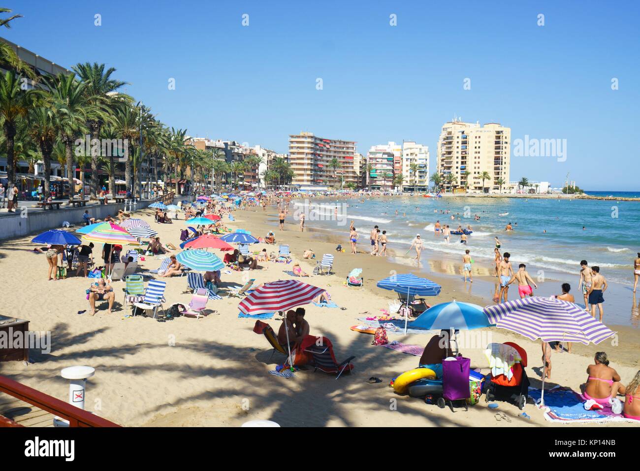 Vacationers sunbathing on the beach of Torrevieja, Torrevella, Alicante ...