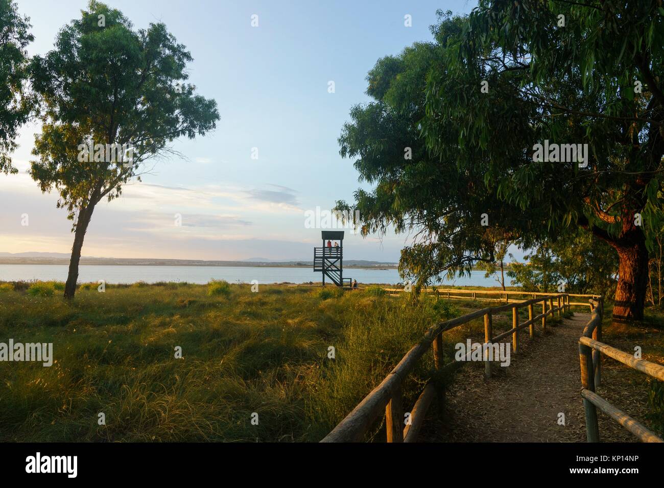 Watch tower of the Park Torrevieja, Torrevieja, Spain Stock Photo - Alamy