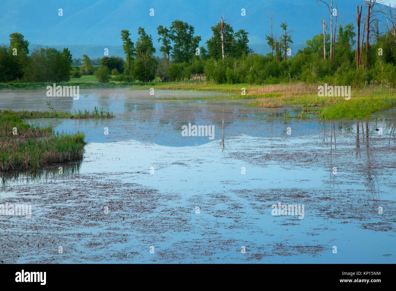 Cascade Pond, Kootenai National Wildlife Refuge, Idaho Stock Photo Alamy