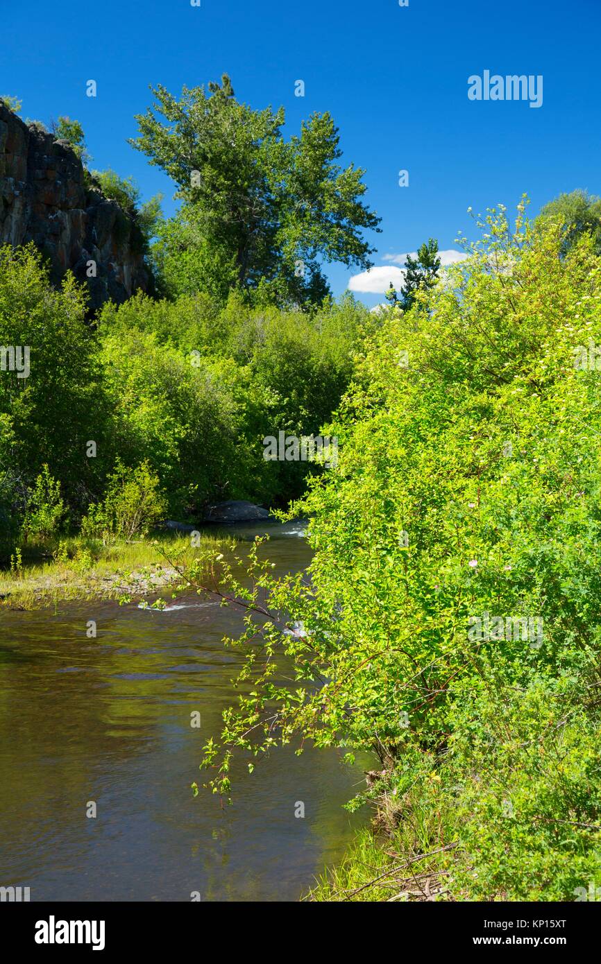 The sprague hires stock photography and images Alamy