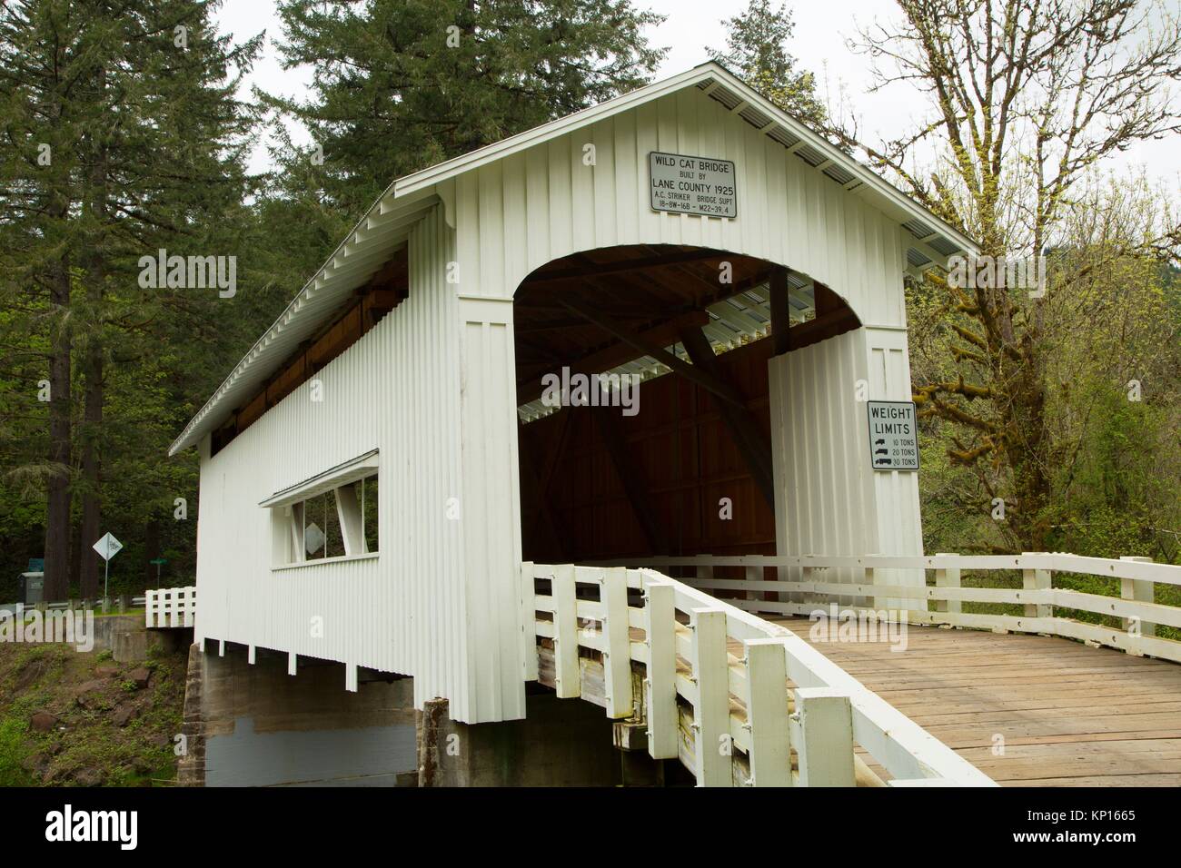 Wildcat usa covered bridge creek lane county oregon hi-res stock ...
