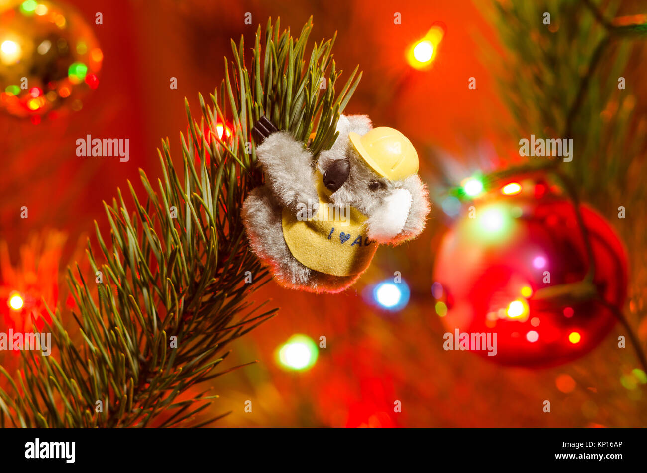 Koala souvenir soft toy teddy bear used on a Christmas tree as a Australian inspired interior Christmas tree decoration. Stock Photo