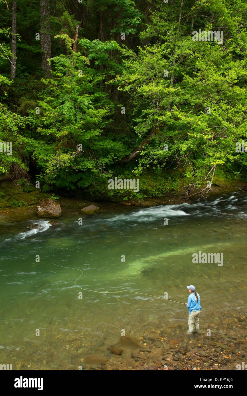 Fly fishing the Lewis River, Gifford Pinchot National Forest
