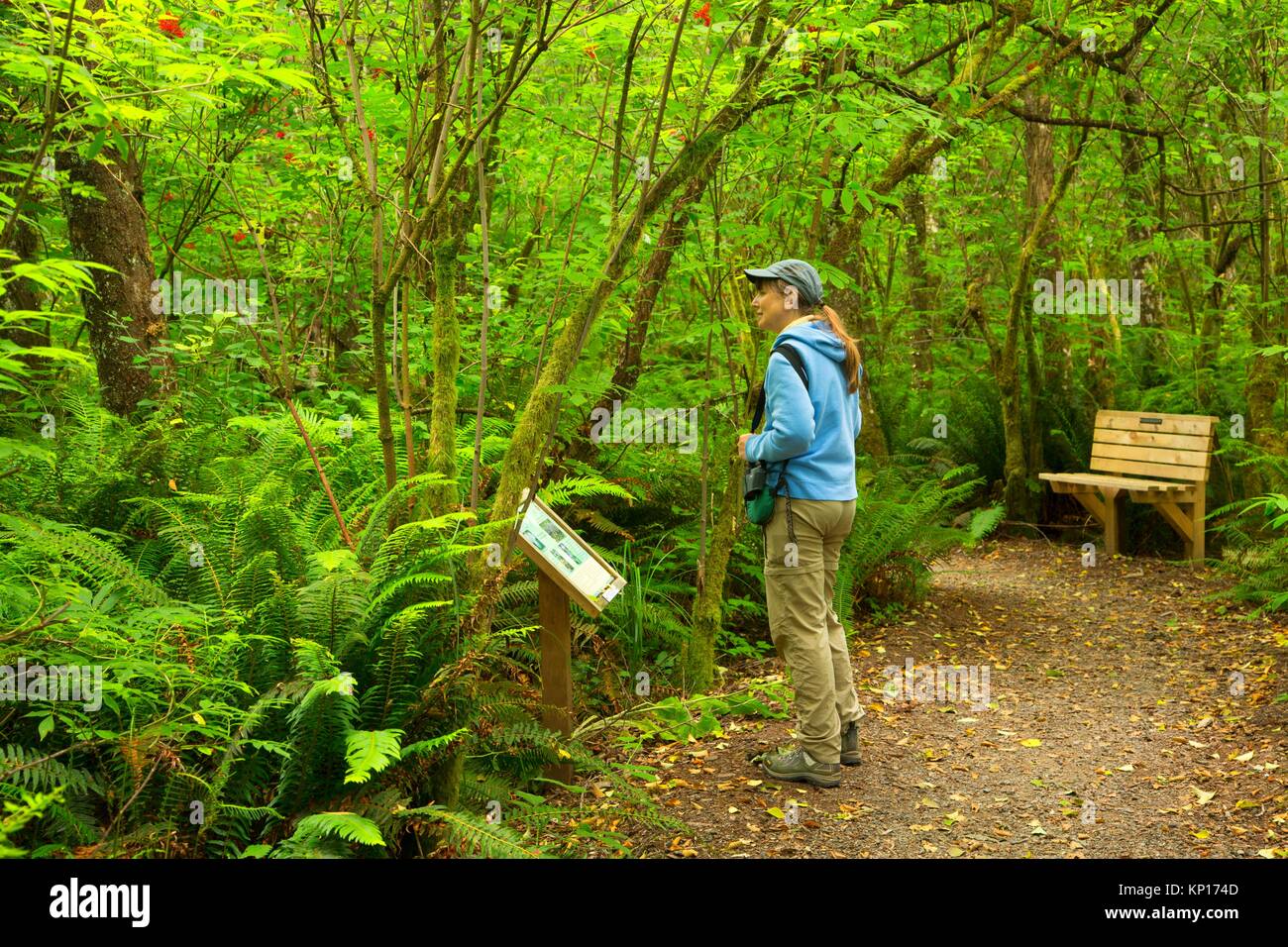Interpretive board along Flora and Fauna Trail, Kilchis Point Reserve, Bay City, Oregon. Stock Photo