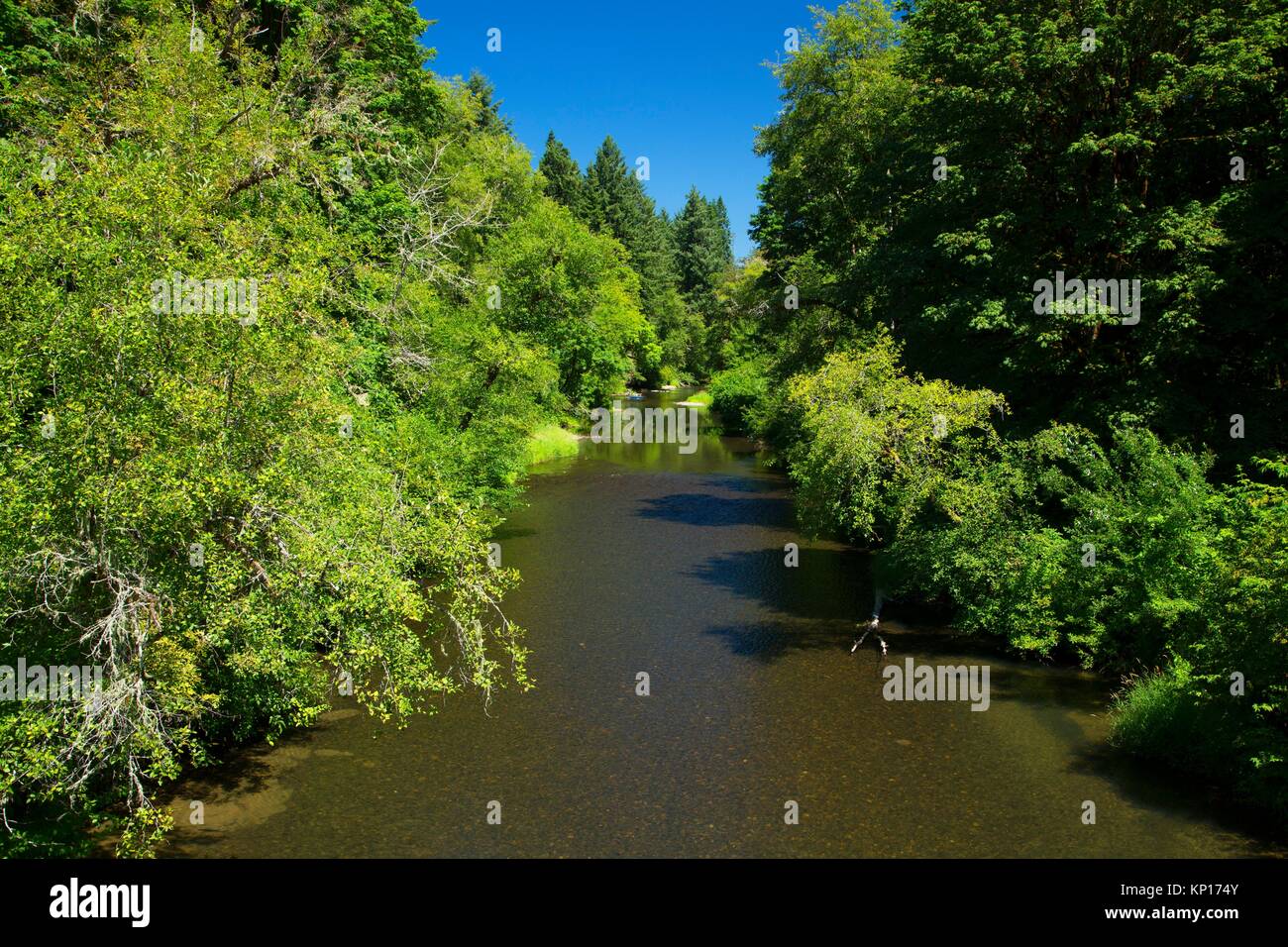 Alsea River, Salmonberry County Park, Benton County, Oregon Stock Photo