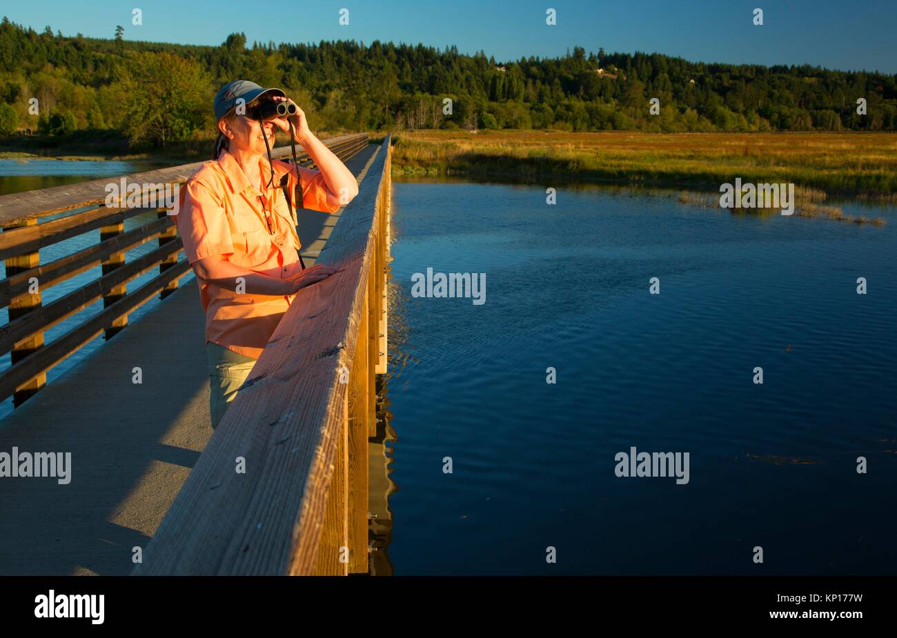 Birding from Union River bridge, Belfair-Theler Wetland Park, Washington. Stock Photo