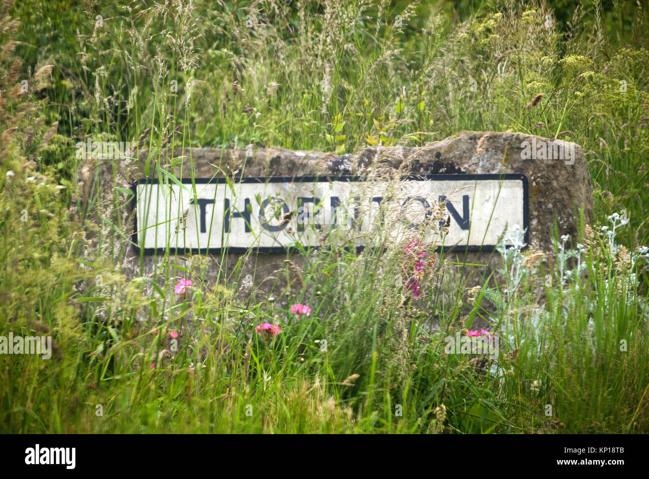 Thornton village sign, Middlesbrough, North Yorkshire Stock Photo Alamy