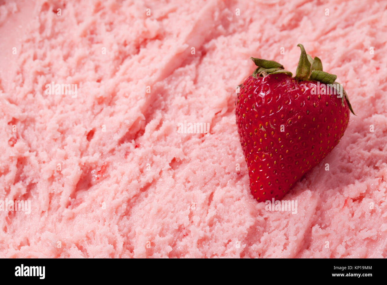 Red Starberry High Resolution Stock Photography And Images Alamy