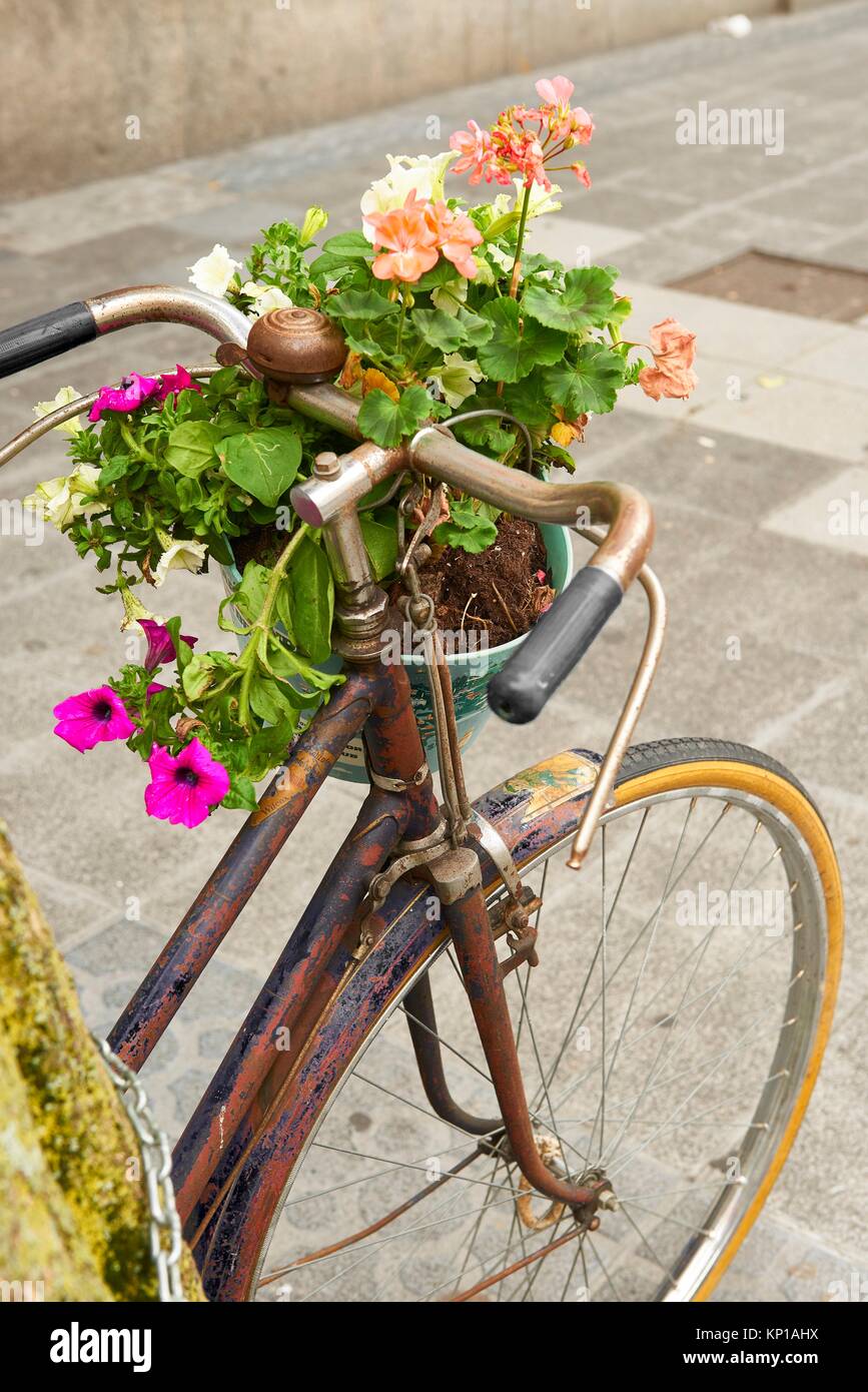 Flower Pot on the Bike, Bilbao, Biscay, Basque Country, Euskadi, Spain, Europe Stock Photo