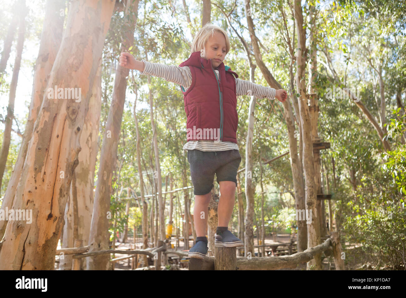 Little girl walking on woods in the forest Stock Photo - Alamy