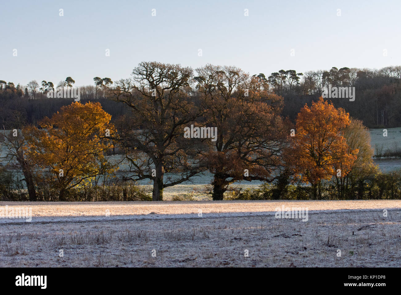 Winter scenes in the Cotswolds Stock Photo