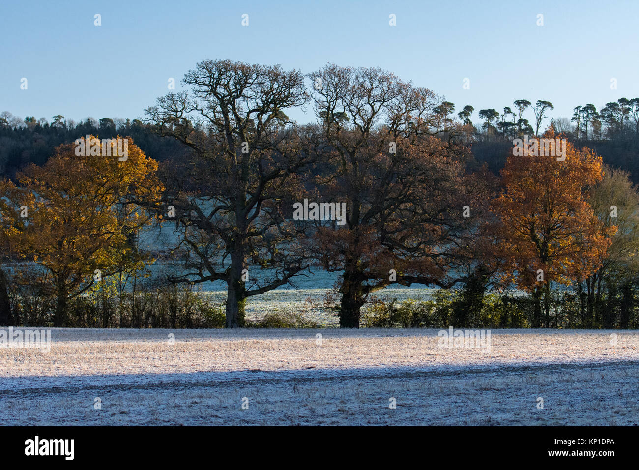 Winter scenes in the Cotswolds Stock Photo