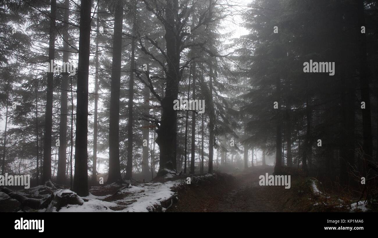 Chair lift in the fog hi-res stock photography and images - Alamy