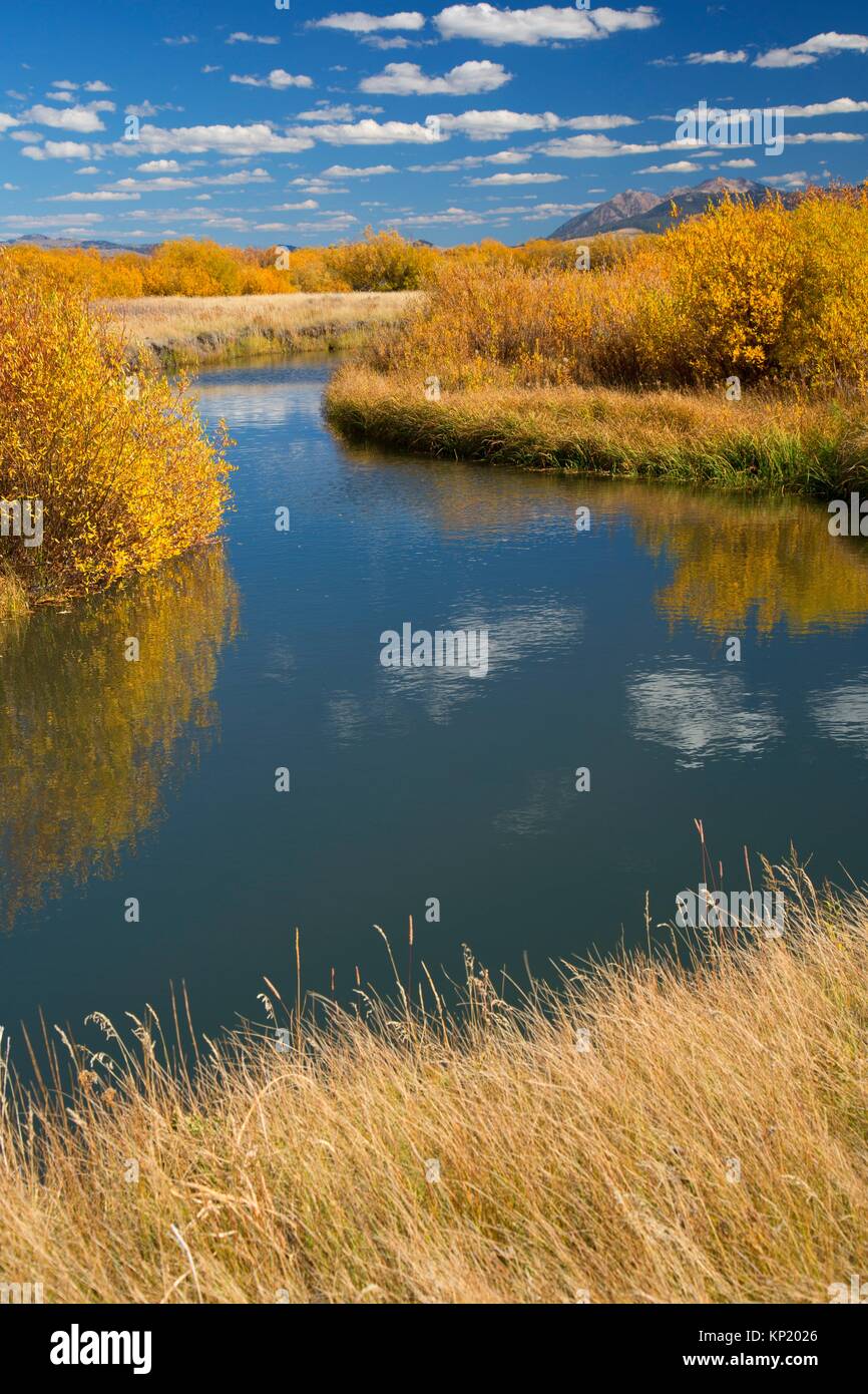 Odell Creek along Sparrow Ponds Trail, Red Rock Lakes National Wildlife Refuge, Montana. Stock Photo