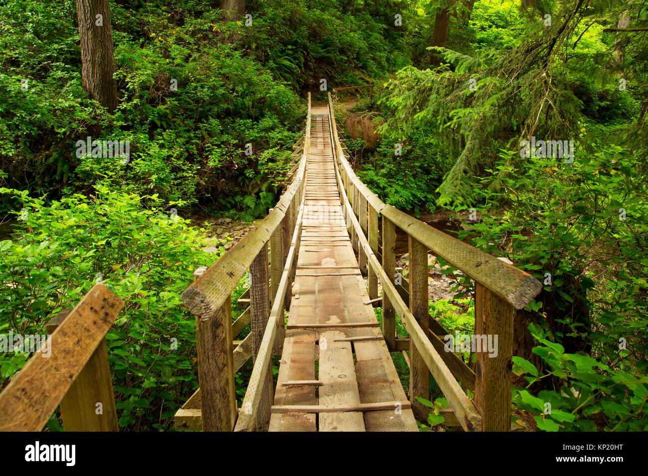 Oregon Coast Trail bridge, Oswald West State Park, Oregon. Stock Photo