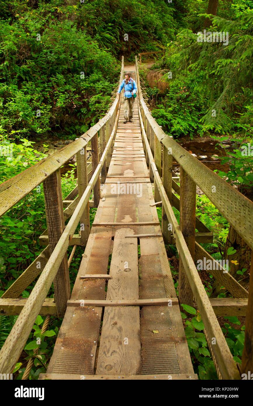 Oregon Coast Trail bridge, Oswald West State Park, Oregon. Stock Photo
