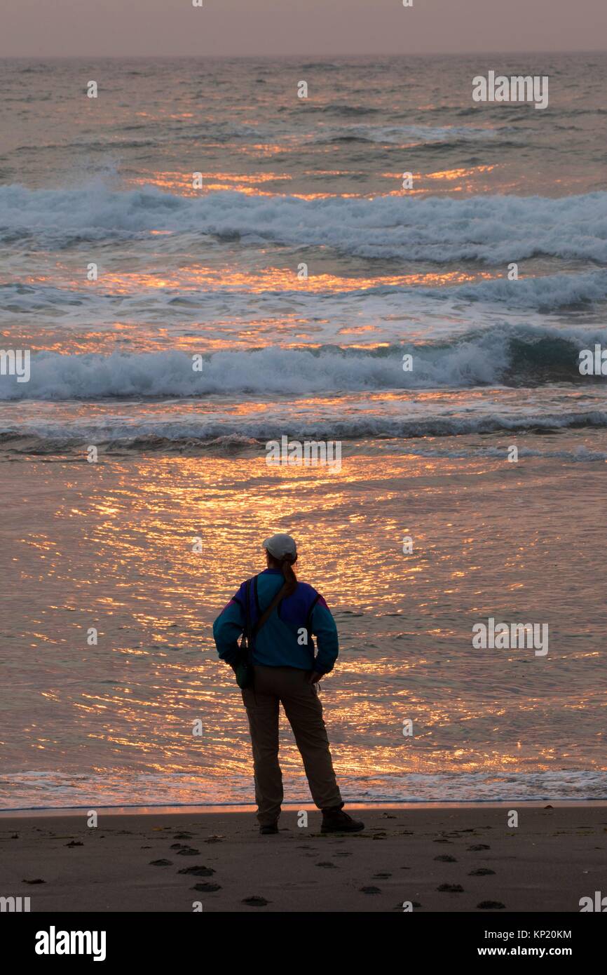 Neskowin beach state park hires stock photography and images Alamy