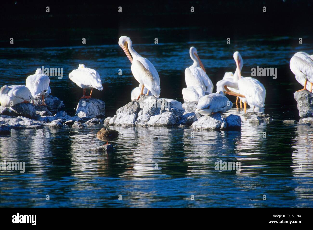 Volcano legacy national scenic byway hires stock photography and