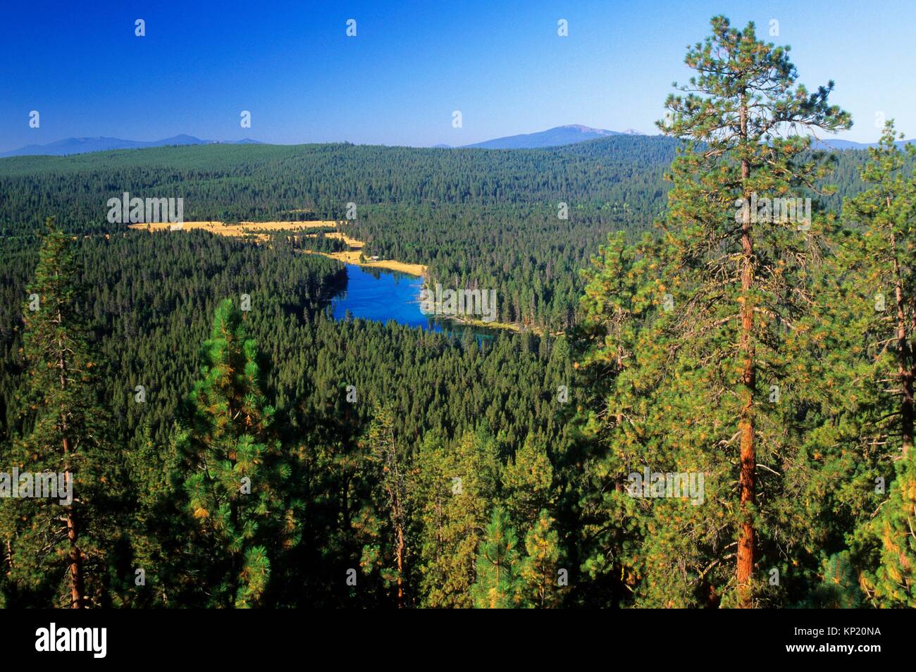 Spring creek hires stock photography and images Alamy