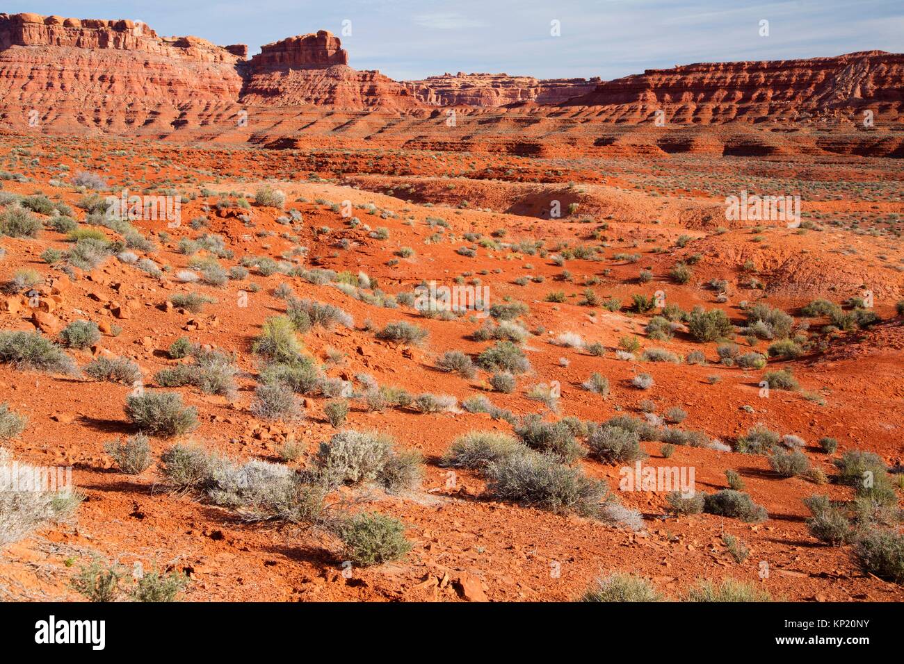 High desert, Valley of the Gods, Monticello Field Office Bureau of Land Management, Utah. Stock Photo