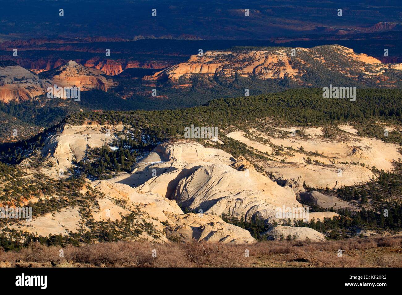 High desert view, Dixie National Forest, Highway 12 Scenic Byway, Utah. Stock Photo