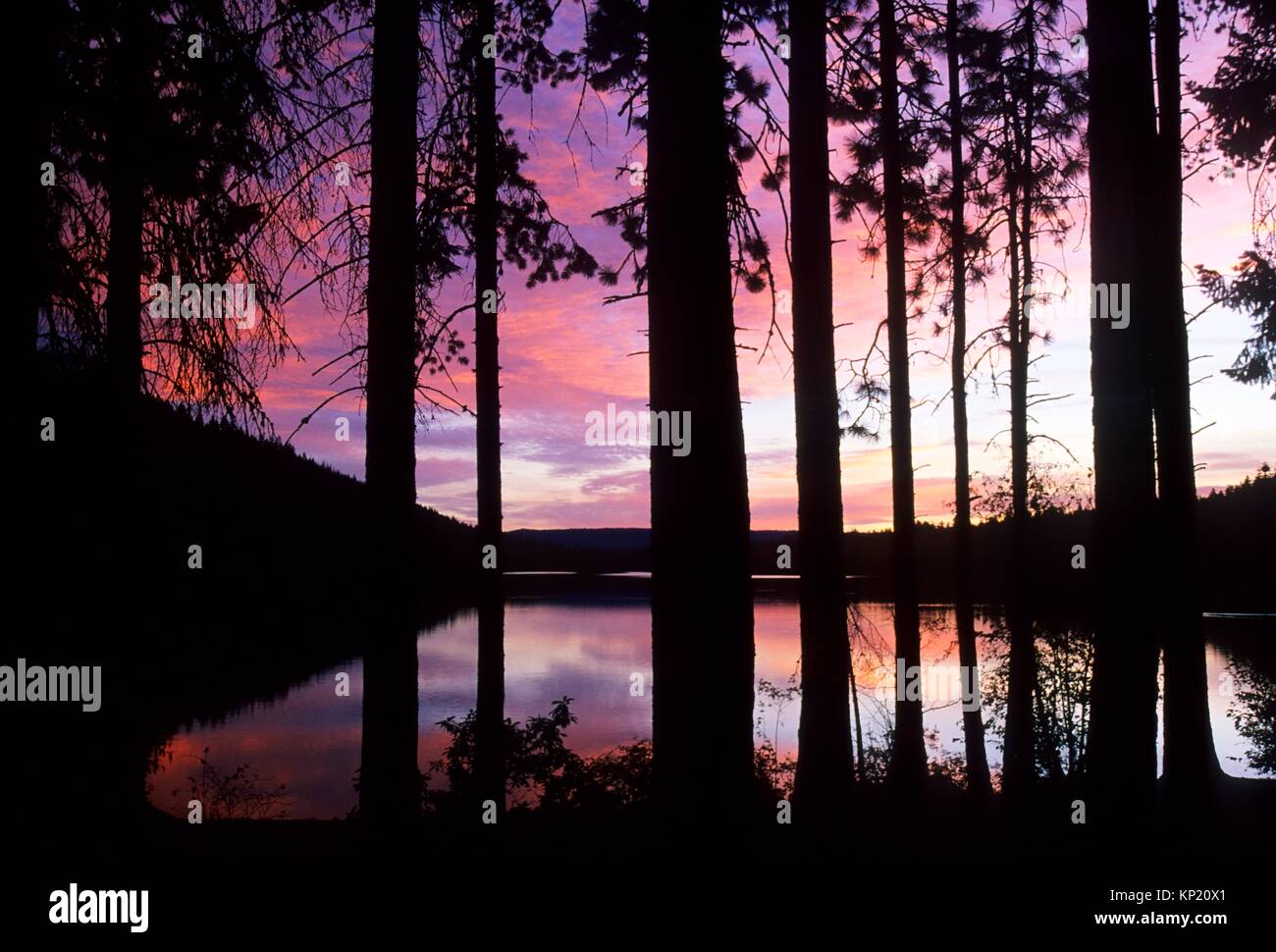 Sunrise on Suttle Lake, Deschutes National Forest, Oregon. Stock Photo