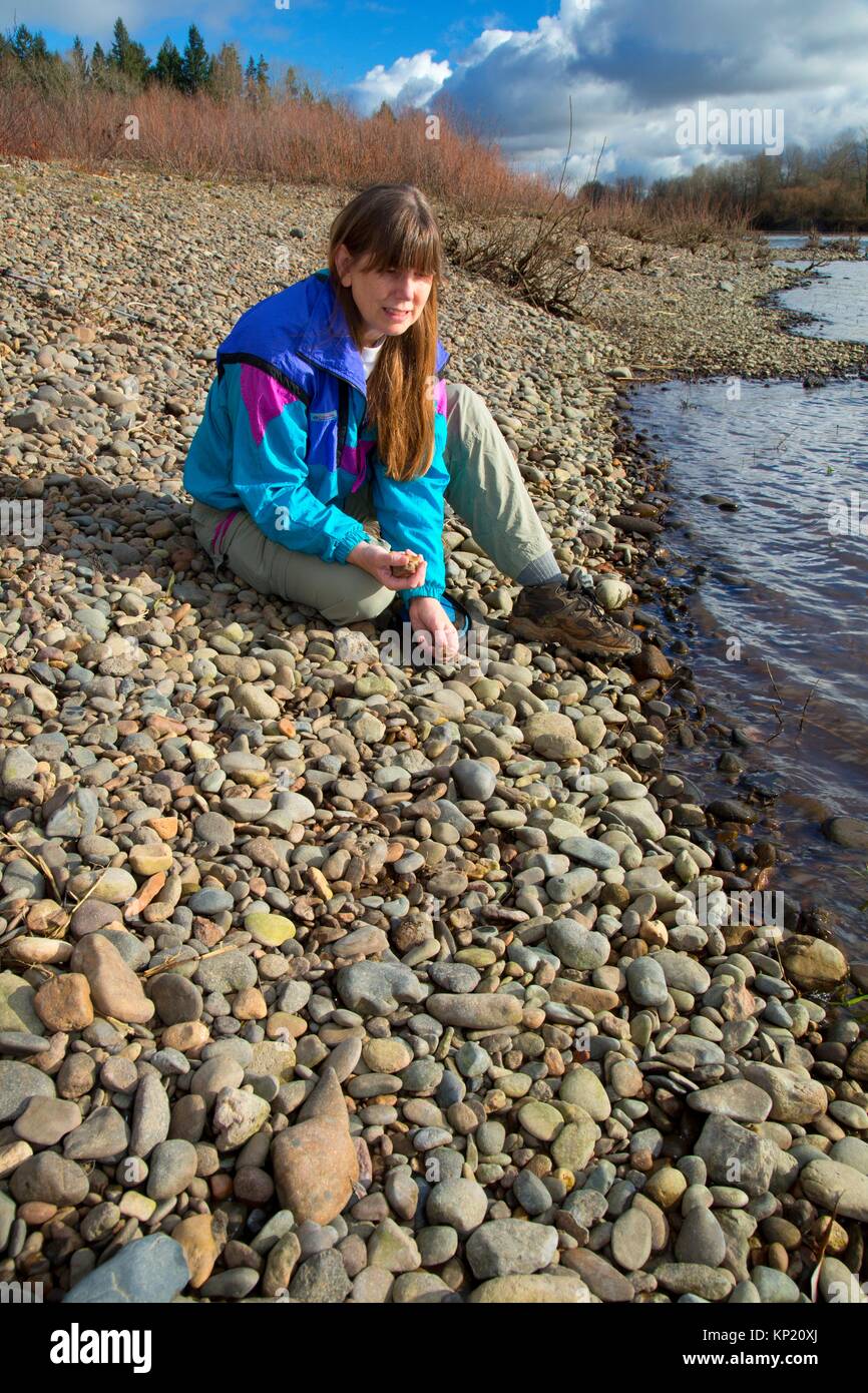 Rock collecting along Willamette River, Keizer Rapids Park, Keizer, Oregon Stock Photo Alamy