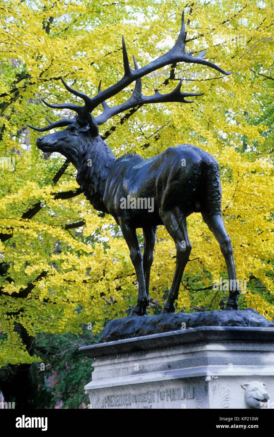 Portland oregon downtown hires stock photography and images Alamy