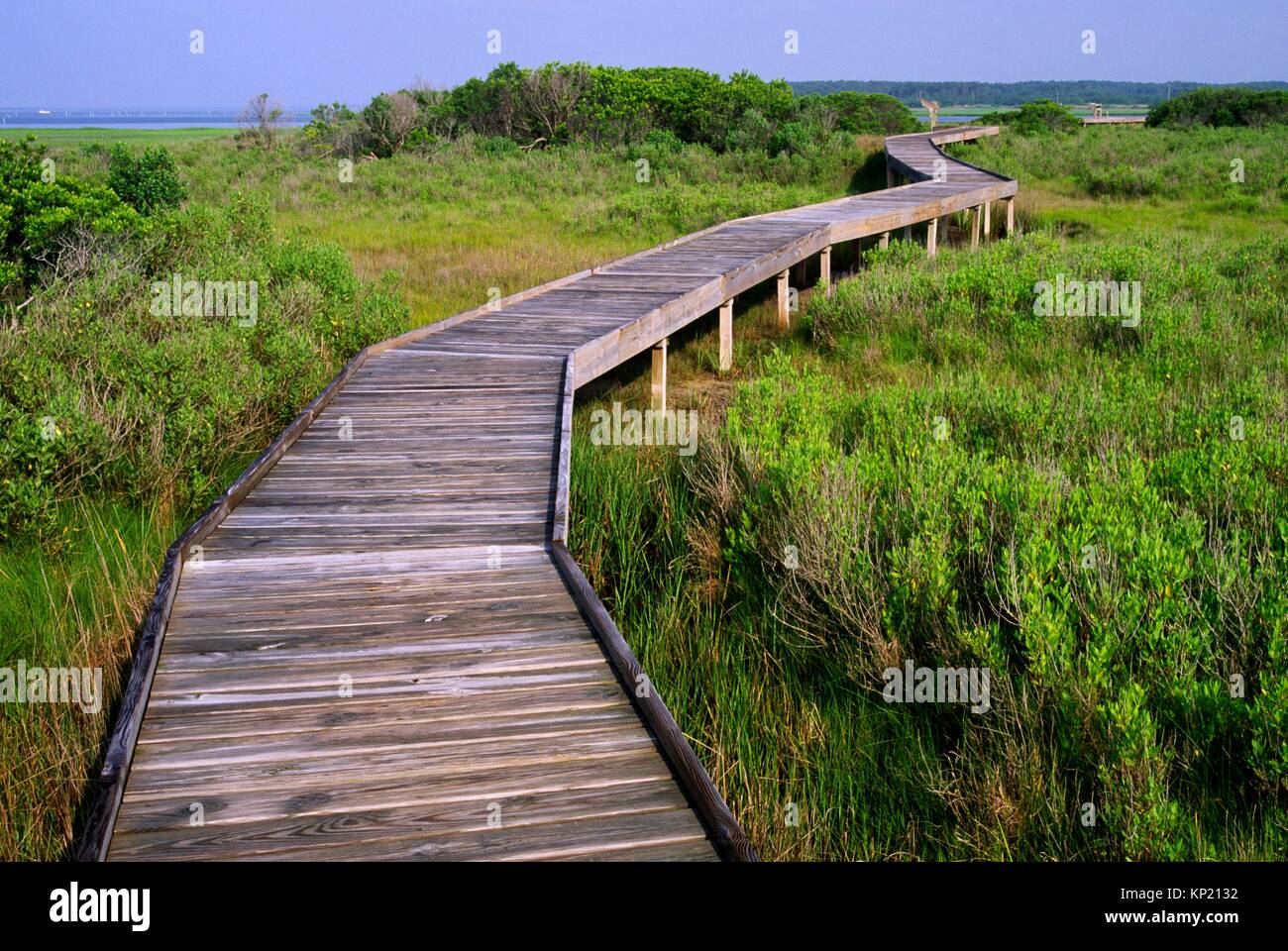 Chincoteague National Wildlife Refuge High Resolution Stock Photography