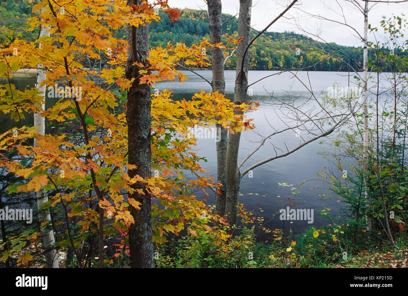 Windsor lake hires stock photography and images Alamy