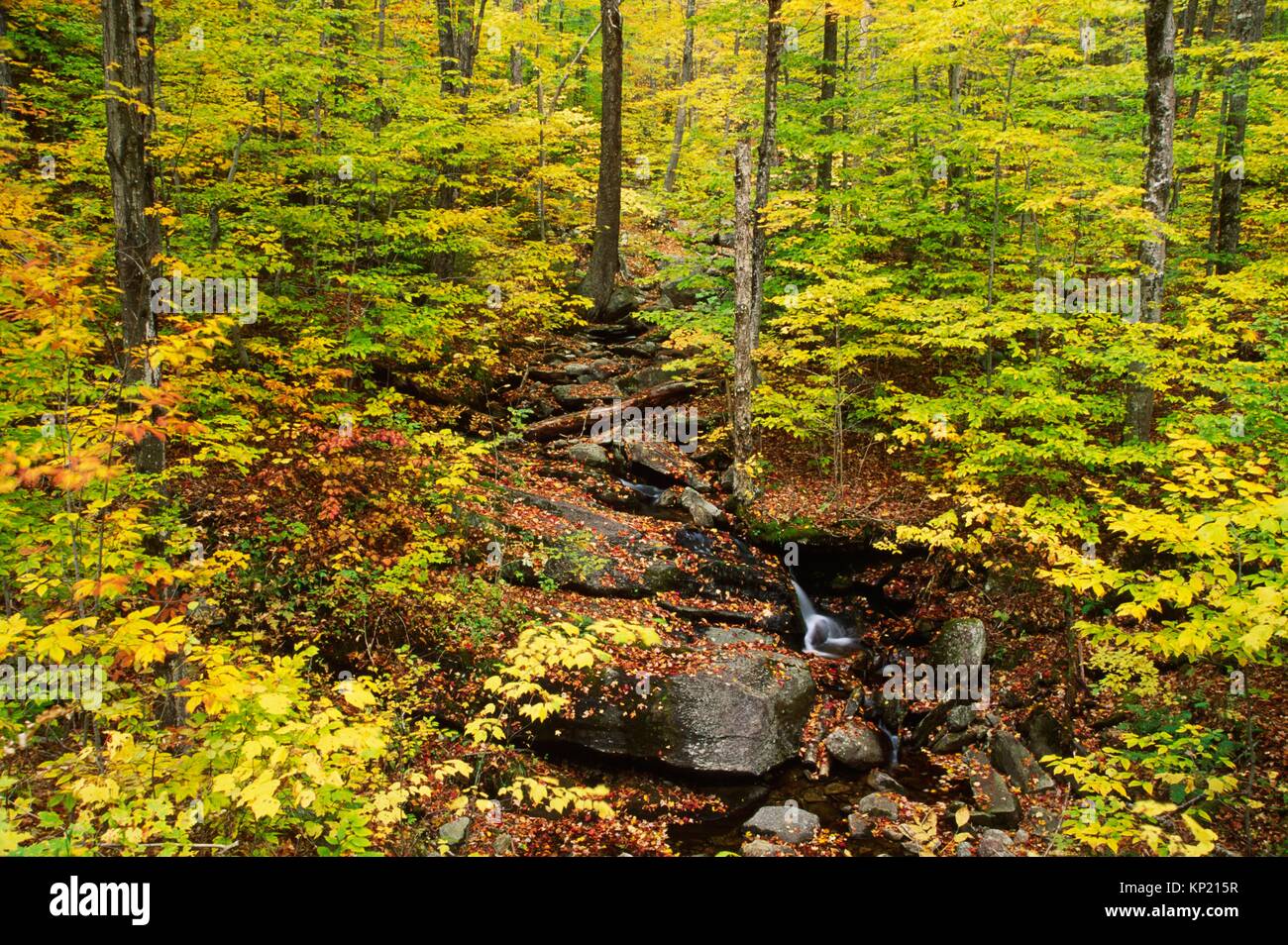 Green mountain national forest vermont hires stock photography and