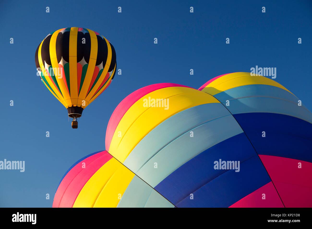 Hot air balloon, Northwest Art and Air Festival, Timber Linn Park