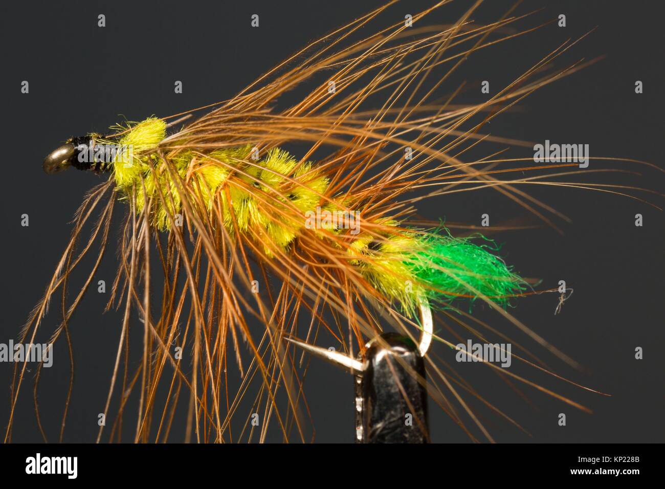 Fishing fly. Stock Photo