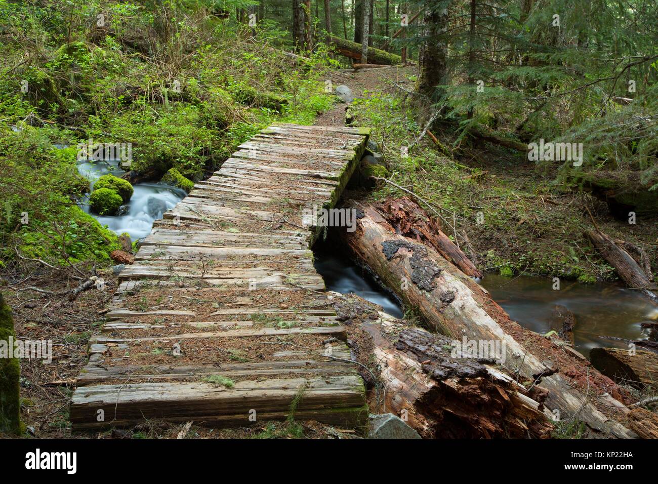 Hunts Creek Trail bridge, Mt Jefferson Wilderness, Willamette National Forest, Oregon. Stock Photo