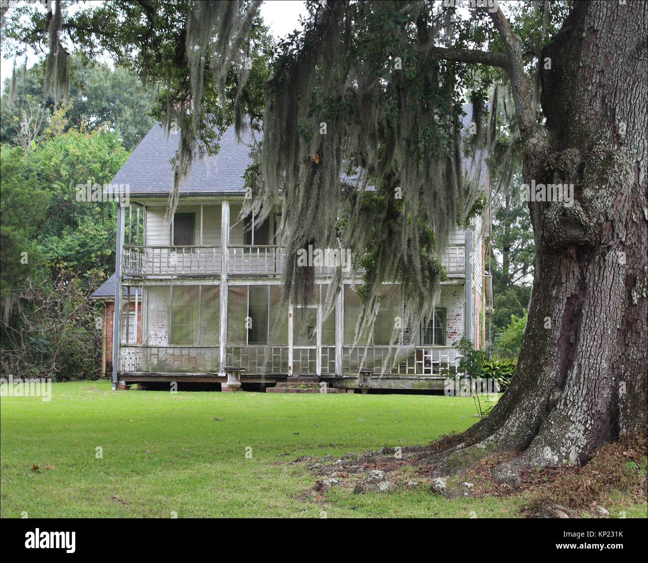An old abandoned house, surrounded by Spanish Moss covered oak trees